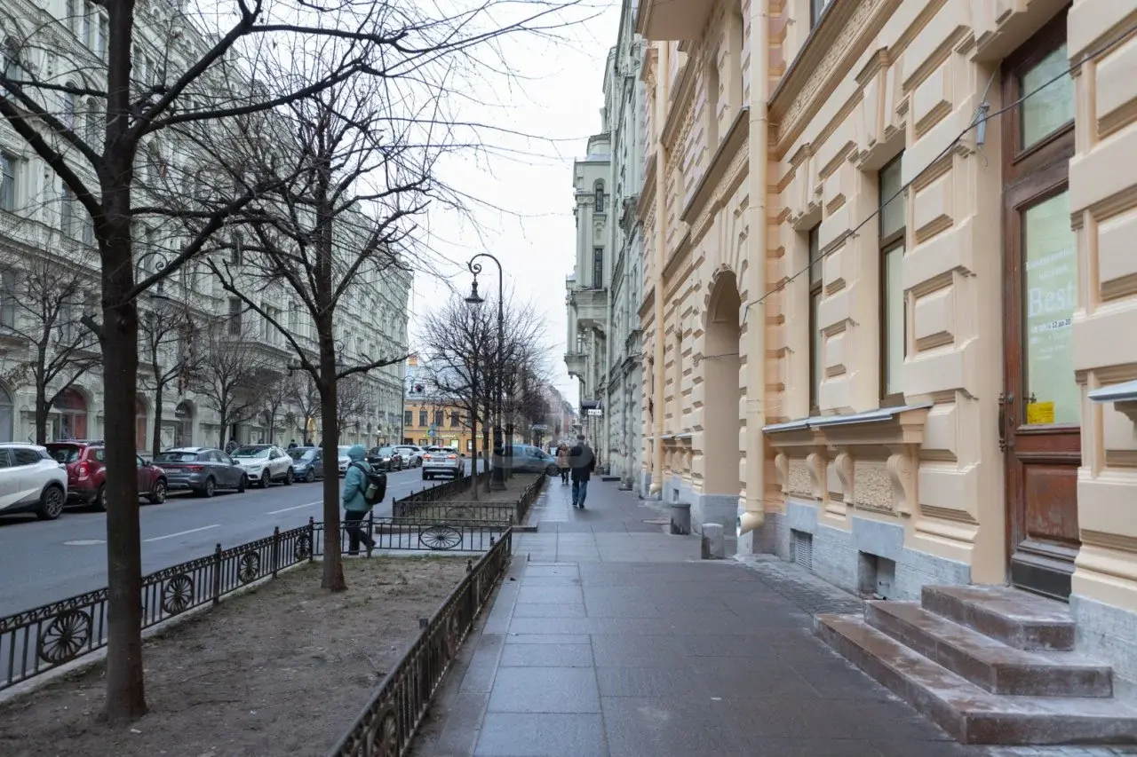 однокомнатная квартира в Санкт-Петербурге по адресу: Пушкинская ул., 17