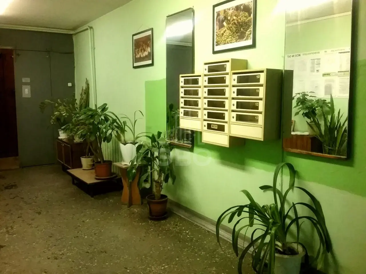 однокомнатная квартира в Санкт-Петербурге по адресу: Искровский пр-кт., 42, к.2