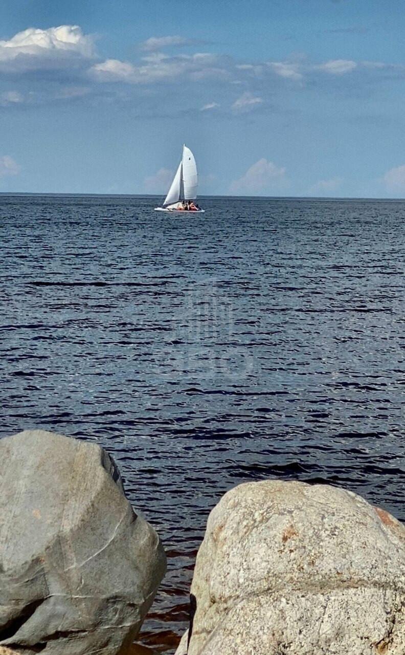 студия в Ленинградской области по адресу: Александра Разгонина ул., 1, к 3