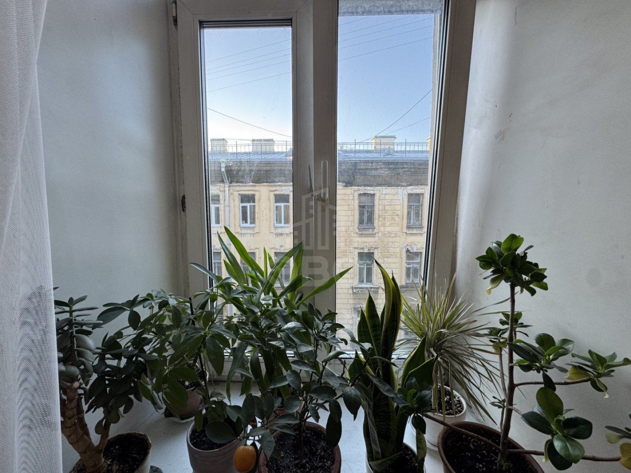 студия в Санкт-Петербург по адресу: Загородный проспект, 21