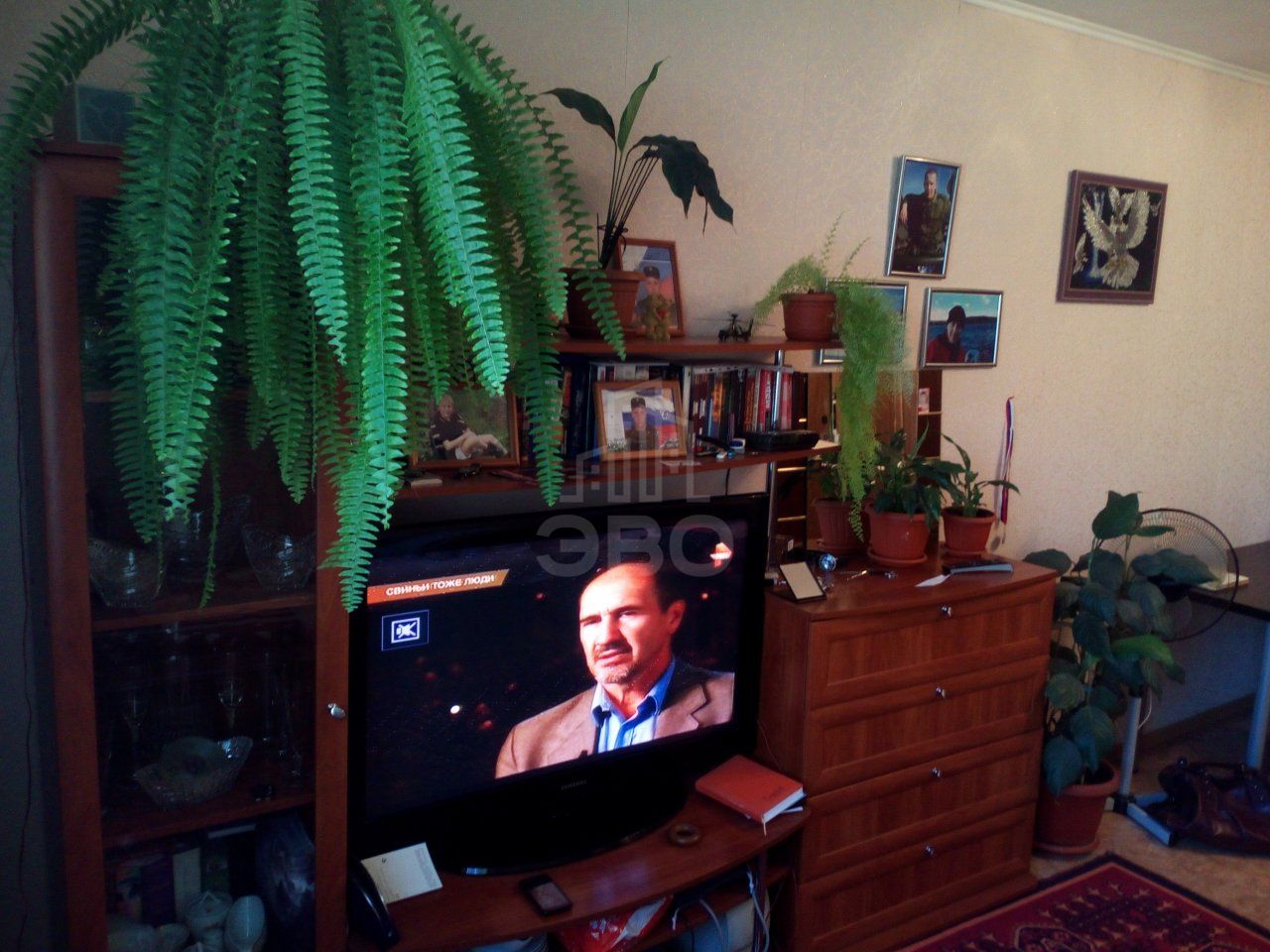 комната в Санкт-Петербурге по адресу: Искровский пр-кт., 6, к 3