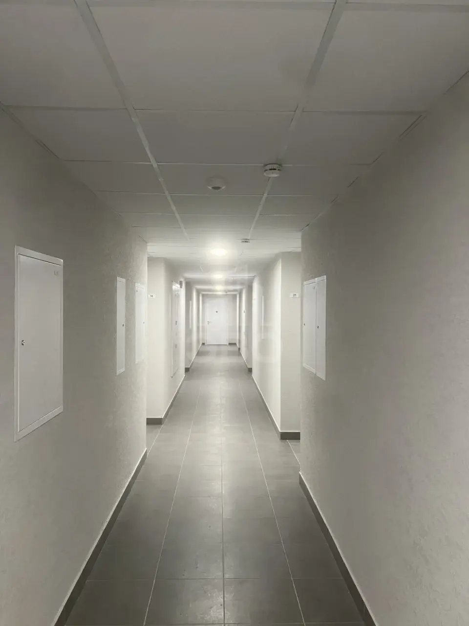 трехкомнатная квартира в Ленинградской области по адресу: Главная ул., 6, к 2