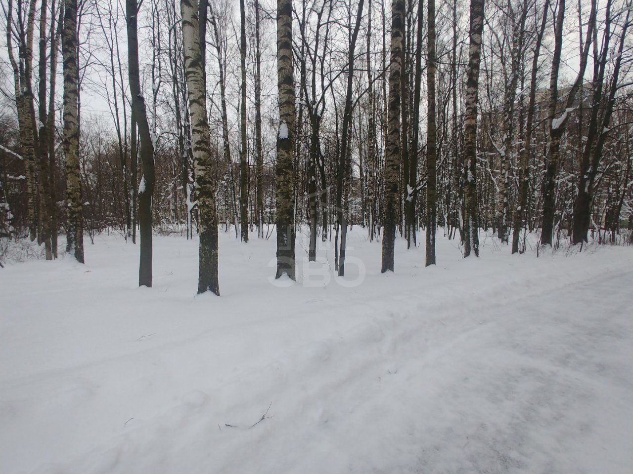 двухкомнатная квартира в Санкт-Петербурге по адресу: Софьи Ковалевской ул., 11, к 6