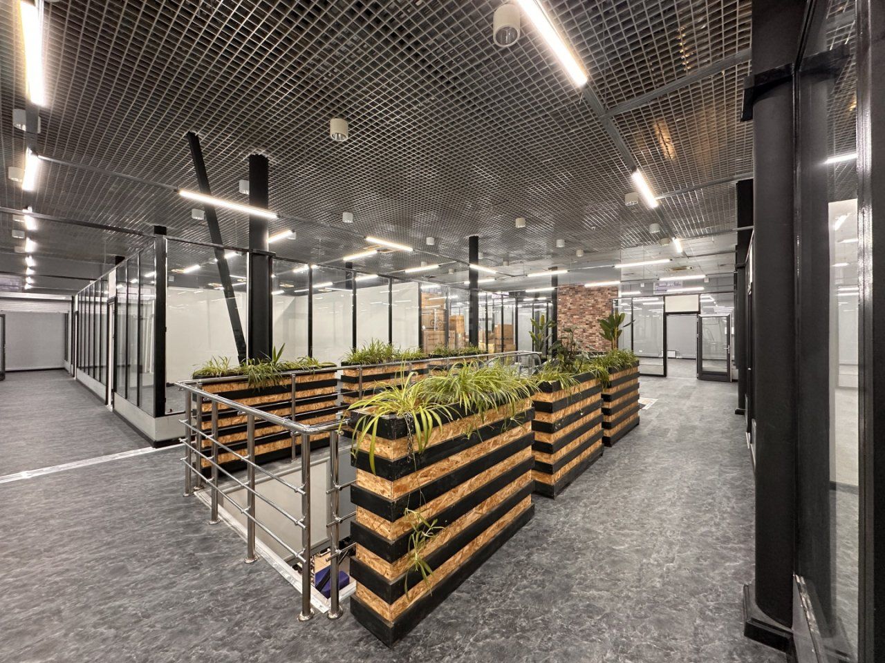 коммерция в Санкт-Петербурге по адресу: Культуры проспект, 20