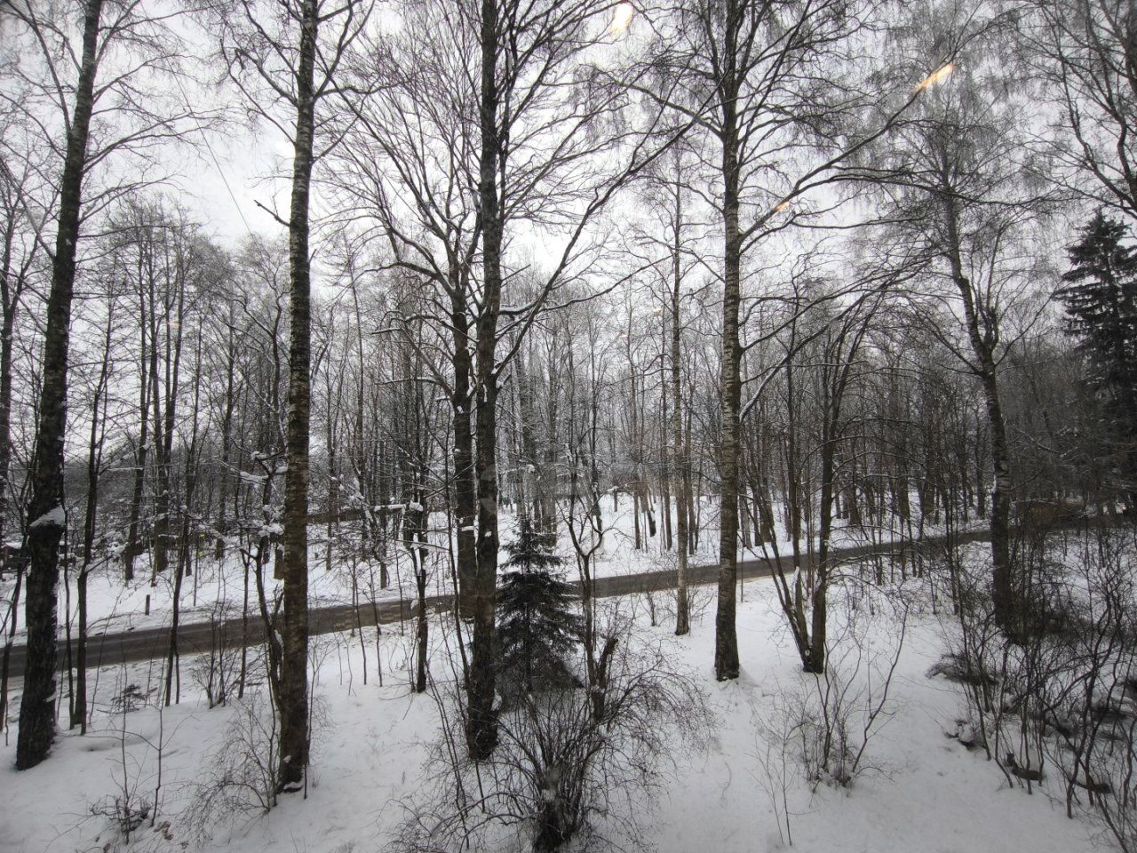 однокомнатная квартира в Санкт-Петербурге по адресу: Приозерское ш., 9