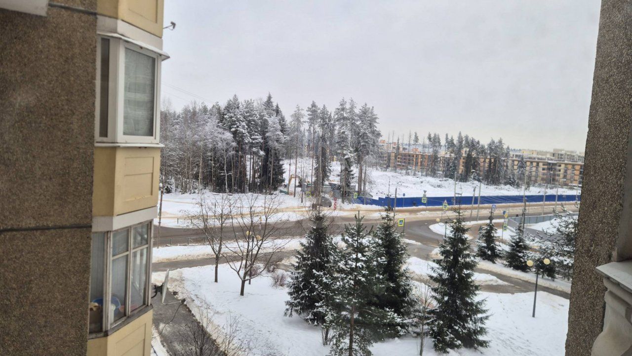 двухкомнатная квартира в Ленинградской области по адресу: Центральная ул., 1, к 1