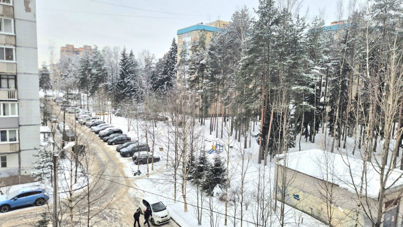 двухкомнатная квартира в Ленинградской области по адресу: Центральная ул., 1, к 1