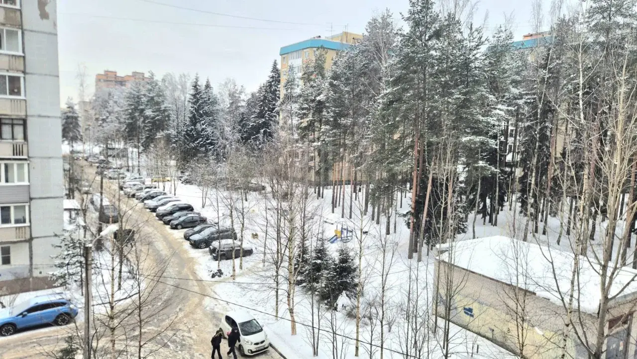 двухкомнатная квартира в Ленинградской области по адресу: Центральная ул., 1, к 1