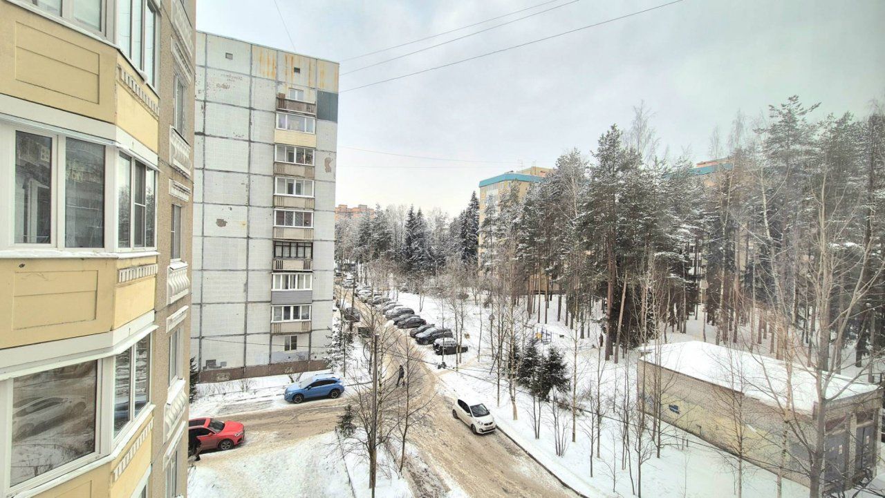 двухкомнатная квартира в Ленинградской области по адресу: Центральная ул., 1, к 1