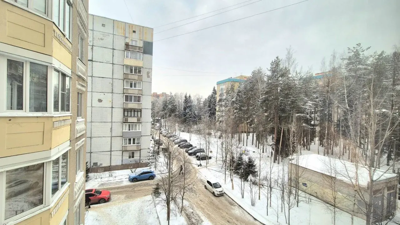 двухкомнатная квартира в Ленинградской области по адресу: Центральная ул., 1, к 1