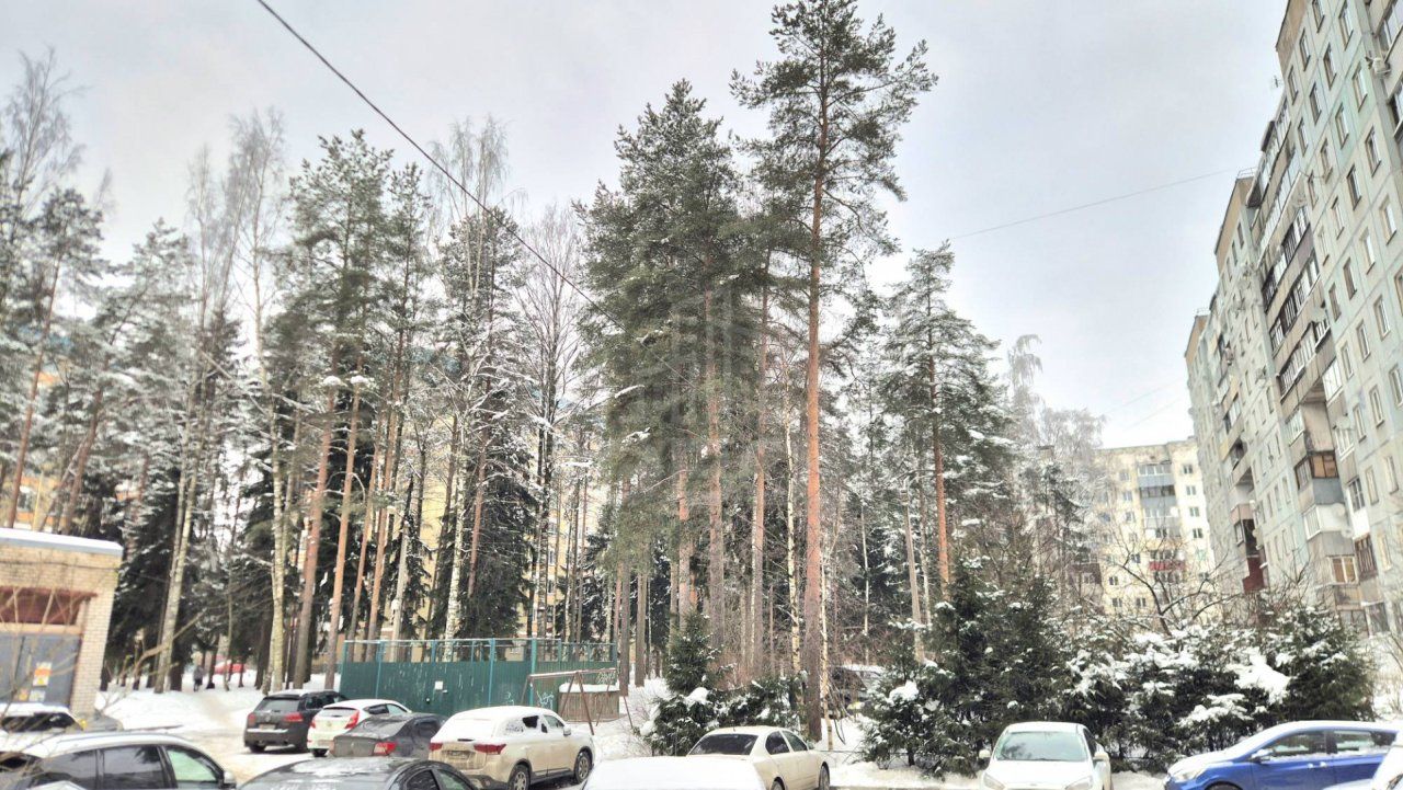 двухкомнатная квартира в Ленинградской области по адресу: Центральная ул., 1, к 1