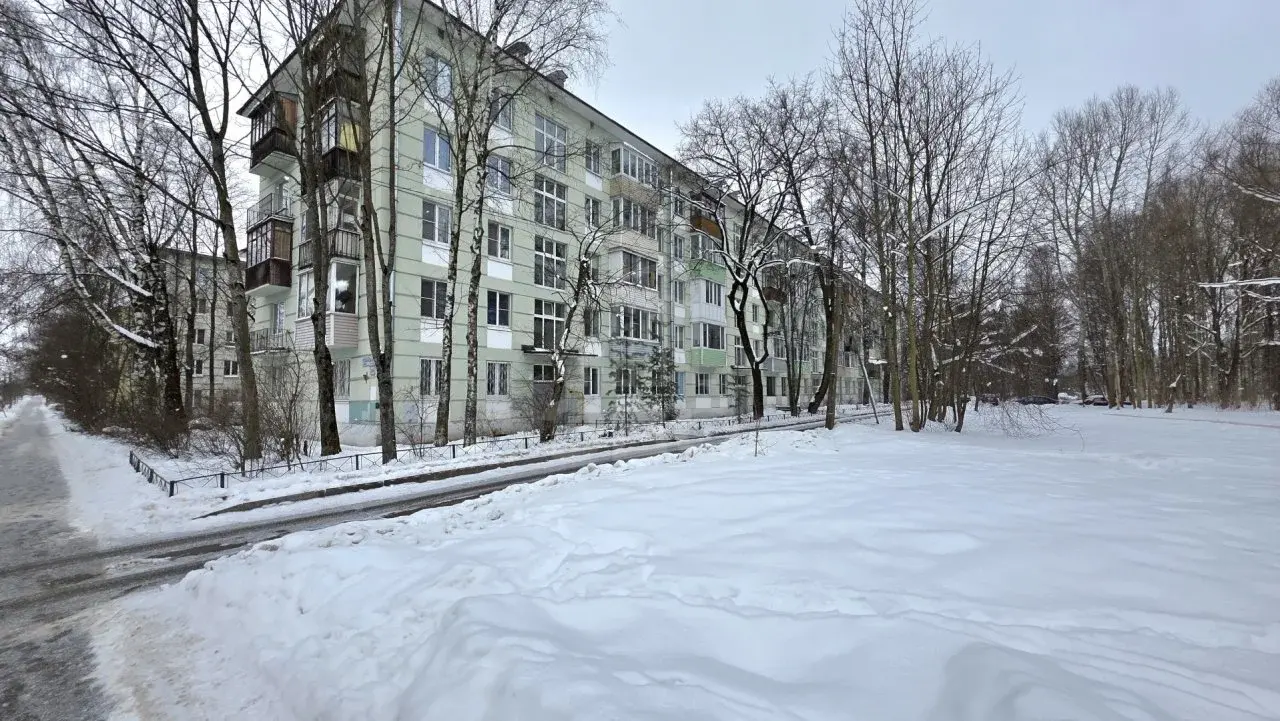 однокомнатная квартира в Санкт-Петербурге по адресу: Плановая ул., 24