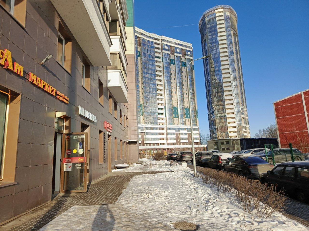 однокомнатная квартира в Санкт-Петербурге по адресу: Заводская ул., 15