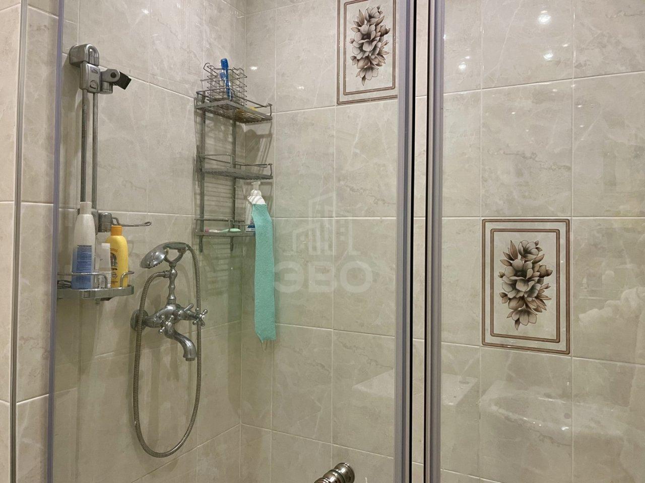 однокомнатная квартира в Ленинградской области по адресу: Межевая ул., 21