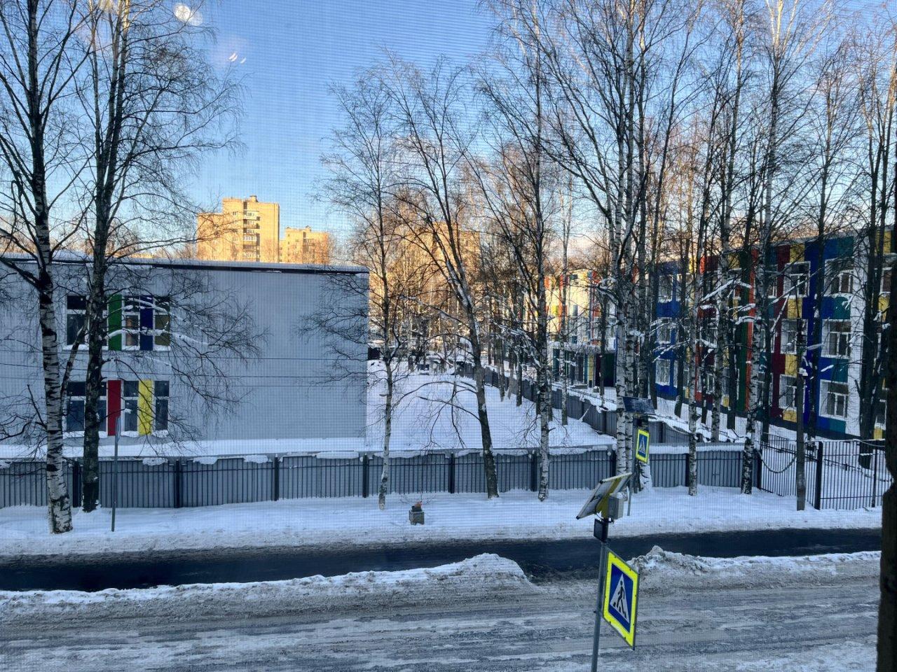 однокомнатная квартира в Ленинградской области по адресу: Межевая ул., 21