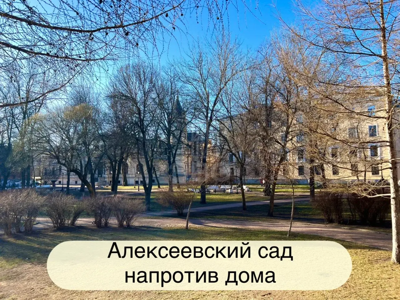 комната в Санкт-Петербурге по адресу: Писарева ул., 14, литера А