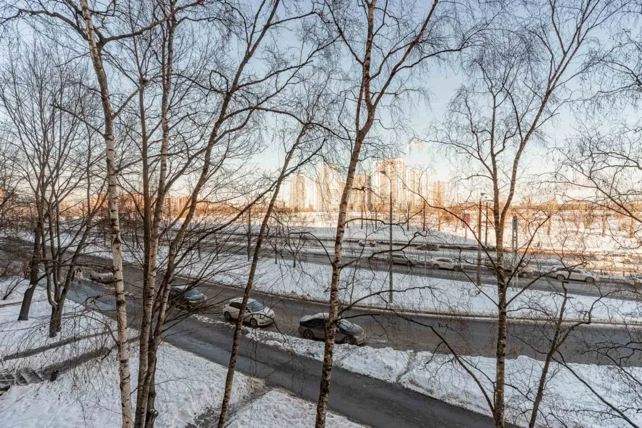 трехкомнатная квартира в Санкт-Петербурге по адресу: Бухарестская ул., 67, к 1