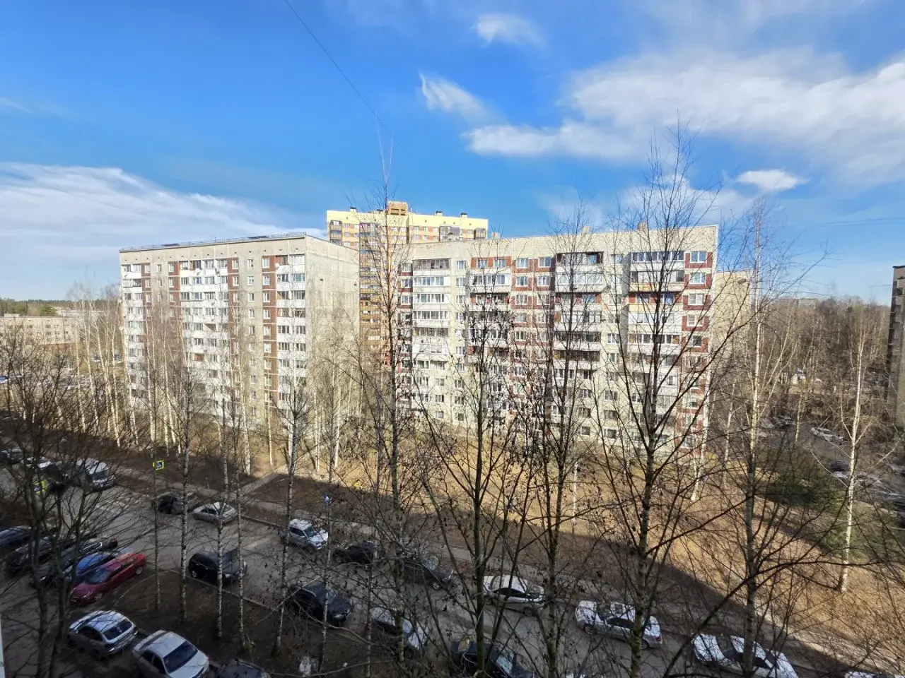 однокомнатная квартира в Ленинградской области по адресу: Василеозерская ул., 8/6