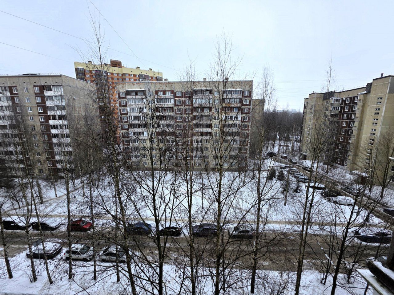 однокомнатная квартира в Ленинградской области по адресу: Василеозерская ул., 8/6