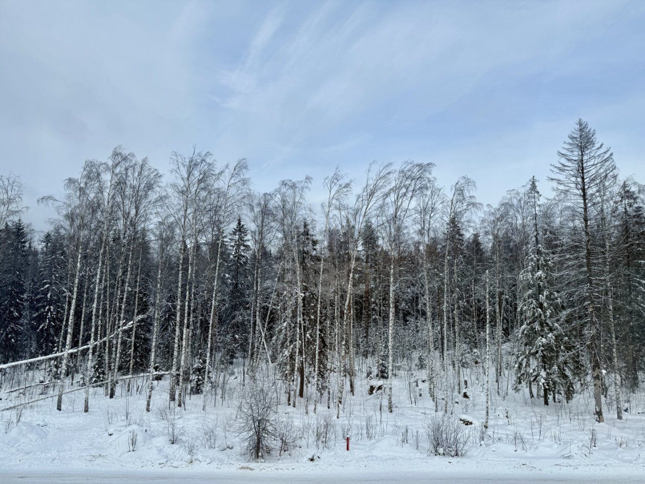 двухкомнатная квартира в Ленинградской области по адресу: Мира ул., 7, к 2