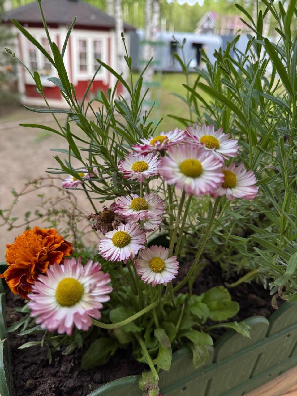 загородная недвижимость в Ленинградской области по адресу: Лосиный пер., 7
