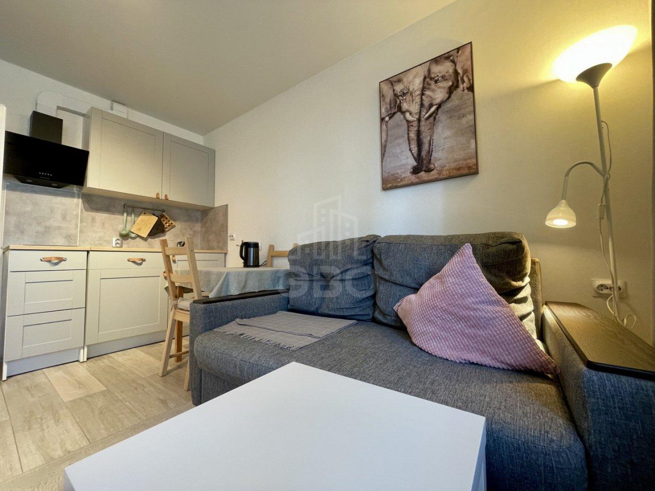 студия в Ленинградской области по адресу: Современников ул., 7