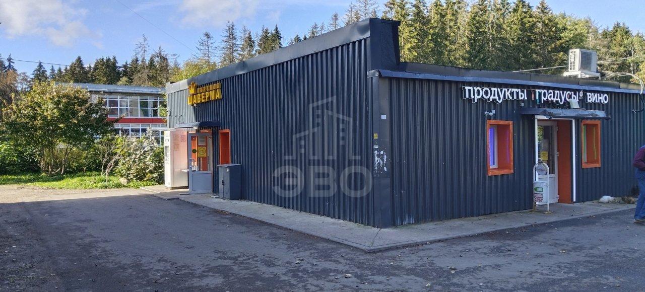 двухкомнатная квартира в Санкт-Петербурге по адресу: Хвойный тер., 91, литера а