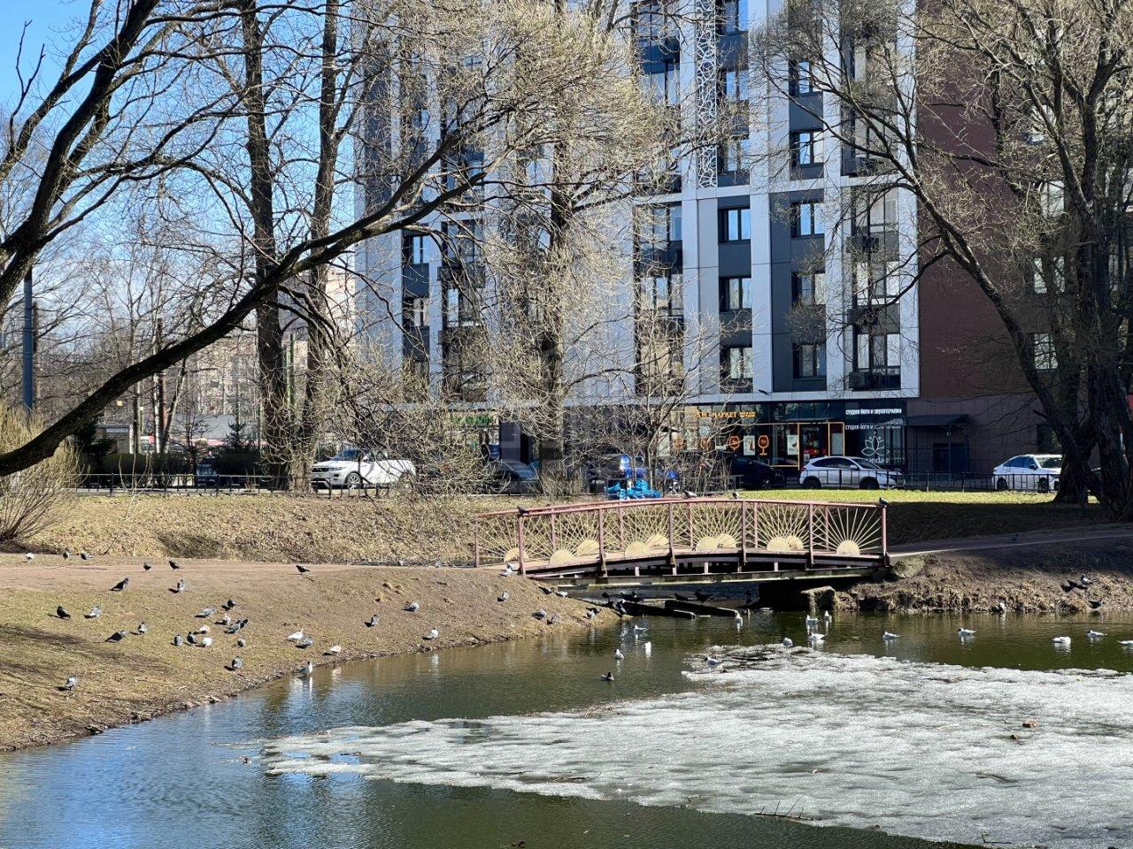 однокомнатная квартира в Санкт-Петербурге по адресу: Земледельческая ул., 5, к 2