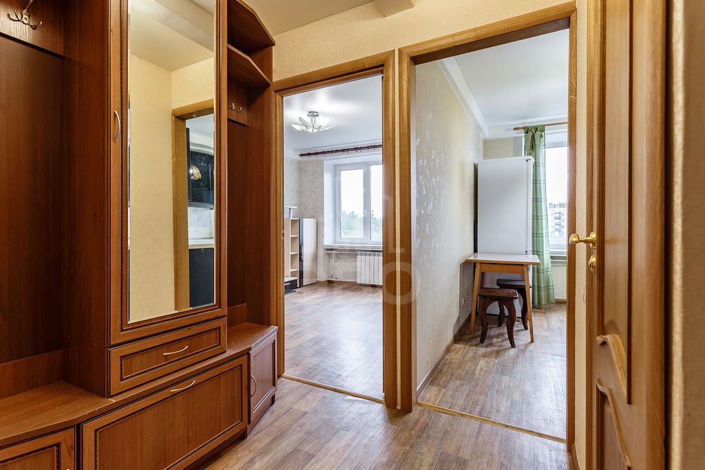 однокомнатная квартира в Санкт-Петербурге по адресу: Пискаревский пр-кт., 19