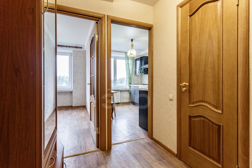 однокомнатная квартира в Санкт-Петербурге по адресу: Пискаревский пр-кт., 19