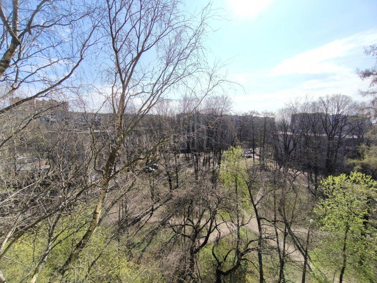 однокомнатная квартира в Санкт-Петербурге по адресу: Пархоменко проспект, 43