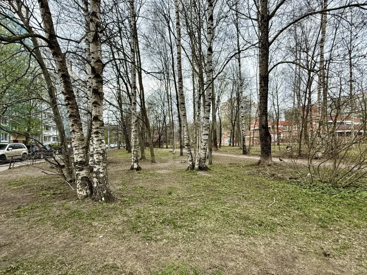 однокомнатная квартира в Санкт-Петербурге по адресу: Северный проспект, 14, к 2, литера А