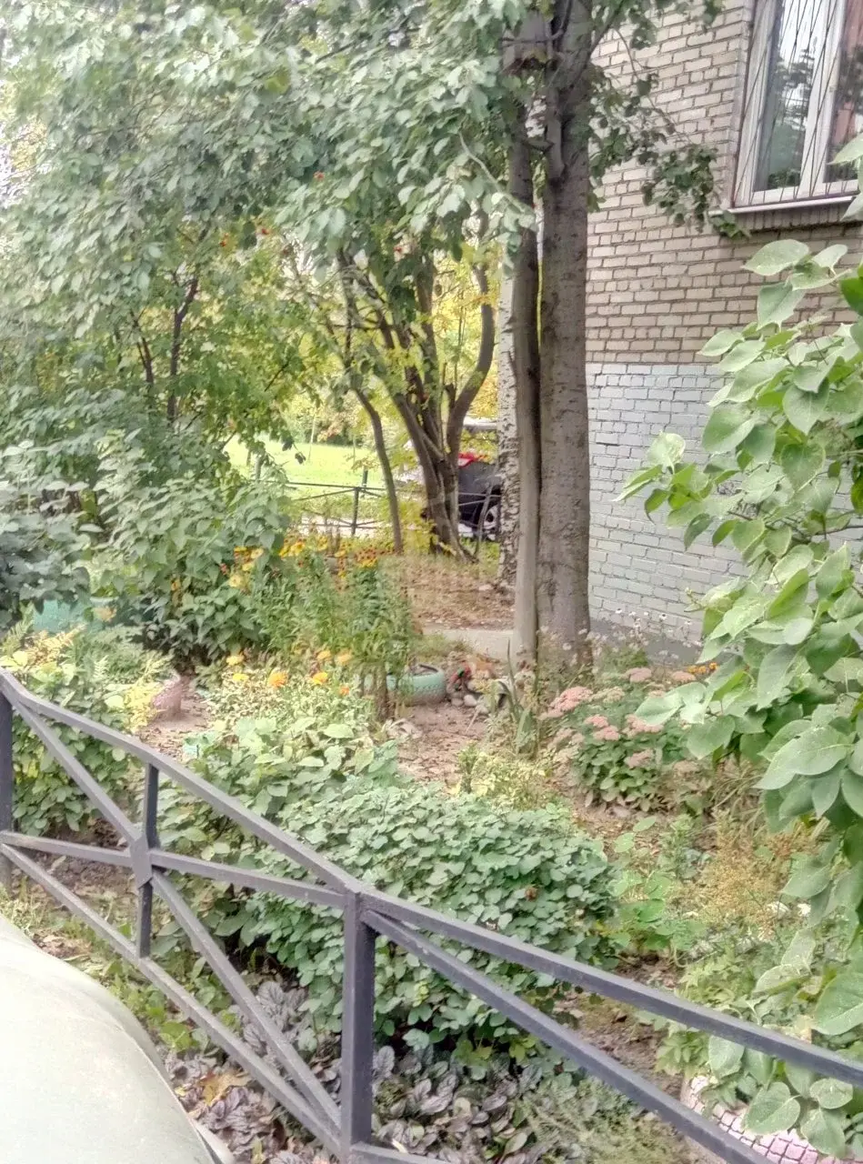 однокомнатная квартира в Санкт-Петербурге по адресу: Белы Куна ул., 11, к.2
