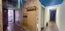 четырехкомнатная квартира в Санкт-Петербурге по адресу: Вознесенский проспект, 55, литера А