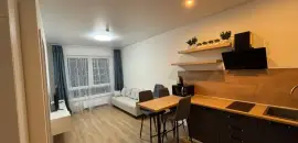 однокомнатная квартира в Ленинградской области по адресу: Голландская ул., 14, к 2