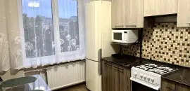 однокомнатная квартира в Санкт-Петербурге по адресу: Вавиловых ул., 8, к 1