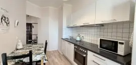 однокомнатная квартира в Санкт-Петербурге по адресу: Коломяжский проспект, 15, к 1
