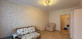 однокомнатная квартира в Санкт-Петербурге по адресу: Ворошилова ул., 25, к 1