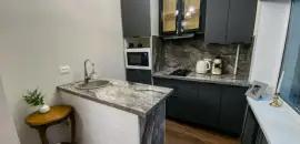 двухкомнатная квартира в Санкт-Петербурге по адресу: Ленсовета ул., 56
