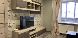 однокомнатная квартира в Санкт-Петербурге по адресу: Туристская ул., 4, к 1