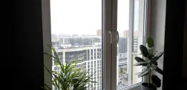 двухкомнатная квартира в Ленинградской области по адресу: Ручьевский проспект, 3, к 1