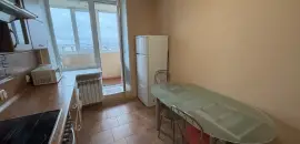 однокомнатная квартира в Санкт-Петербурге по адресу: Новоколомяжский проспект, 11