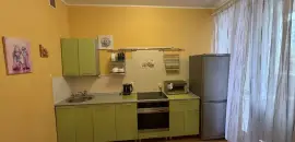 однокомнатная квартира в Санкт-Петербурге по адресу: Новоколомяжский проспект, 16/8