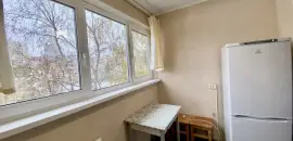 однокомнатная квартира в Санкт-Петербурге по адресу: Кустодиева ул., 20, к 2