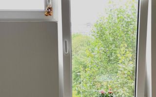 двухкомнатная квартира в Санкт-Петербург по адресу: Королёва проспект, 48, к 3