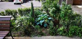 однокомнатная квартира в Санкт-Петербурге по адресу: Варшавская ул., 6, к 1