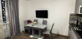 однокомнатная квартира в Санкт-Петербурге по адресу: Шишкина ул., 299