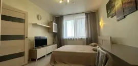 однокомнатная квартира в Ленинградской области по адресу: Областная ул., 1