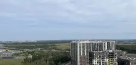 студия в Ленинградской области по адресу: Европейский проспект, 21к2