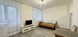 студия в Ленинградской области по адресу: Шоссе в Лаврики ул., 64, к 1